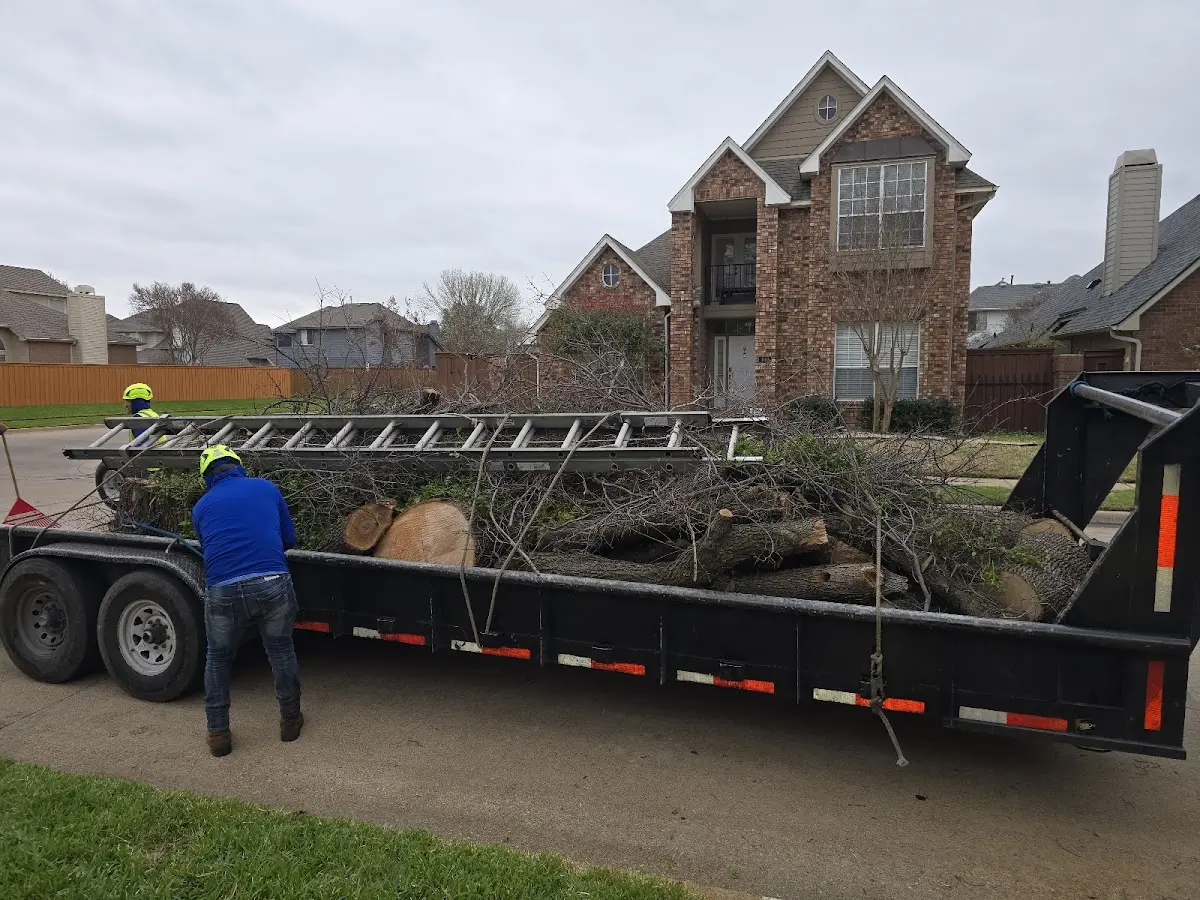 Expert Tree Removal with proper safety equipment in Van Tassell